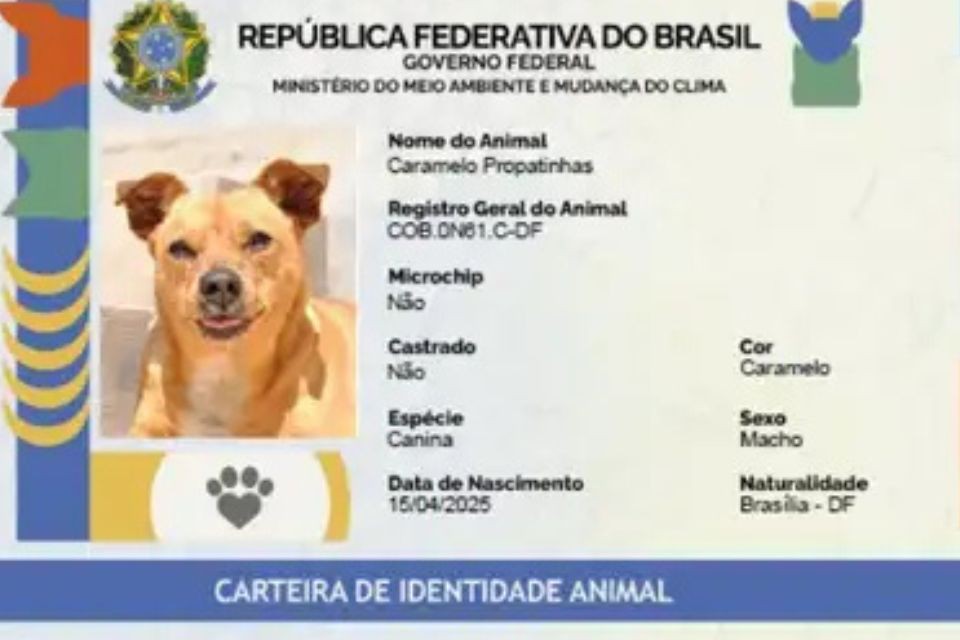 Tela de início do Sinpatinhas, que permite o cadastro de cães e gatos (foto: Planalto/Divulgação)