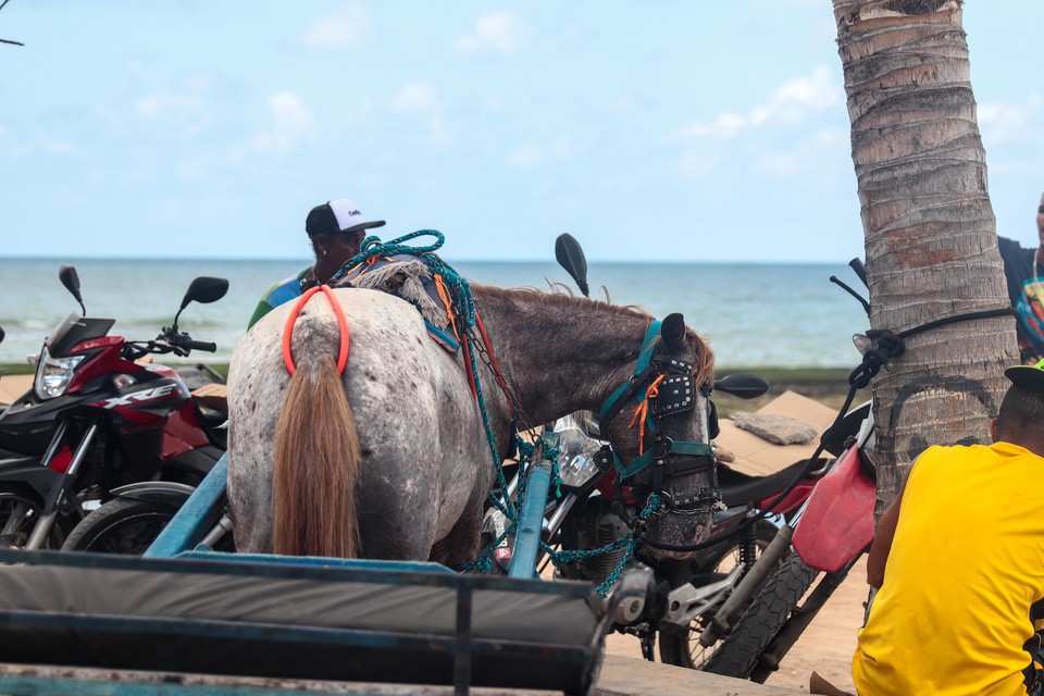Cavalo e motocicletas na faixa de areia (Foto: Ruan Pablo)