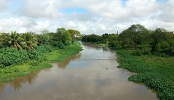 O alerta de cota de alerta foi para o Rio Ipojuca, no municpio de Ipojuca, no Grande Recife 