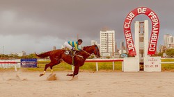 Com duas provas especiais, Jockey Club de Pernambuco tem boa programao neste sbado  (Diego Nunes)