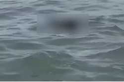 Imagens que circulam nas redes sociais mostram o momento em que o corpo  identificado boiando em alto mar, na Praia de Boa Viagem
