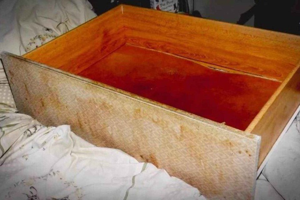 

A me se declarou culpada de quatro crimes ligados  crueldade contra crianas (foto: Chesire Police/Divulgao)