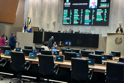 Deputada Dbora Almeida pede que pauta da Alepe seja trancada em reao  manobra da oposio (Foto: Blog Dantas Barreto)
