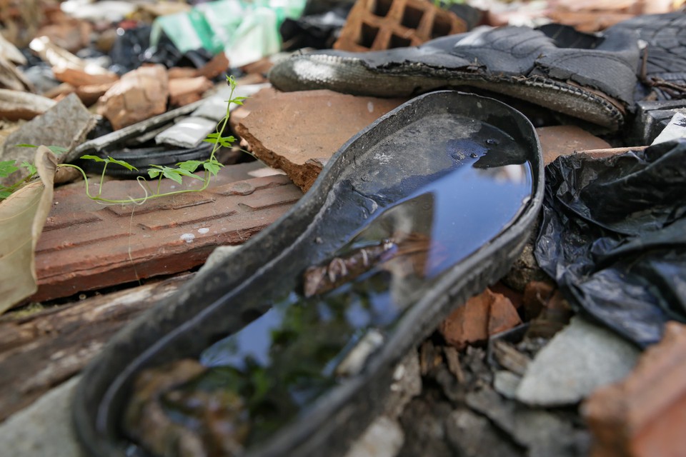 gua parada vira foco de dengue at em resto de calado (Foto: Rafael Vieira/DP)