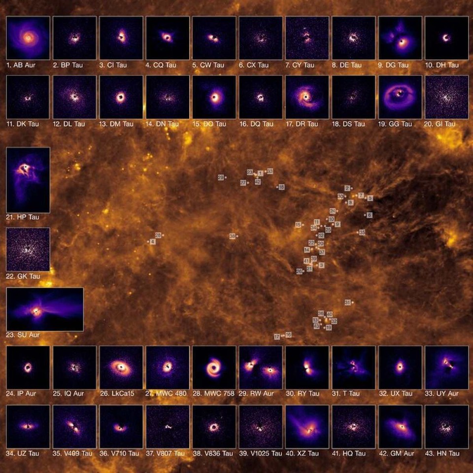 
Discos de formao planetria em Taurus (foto: ESO)