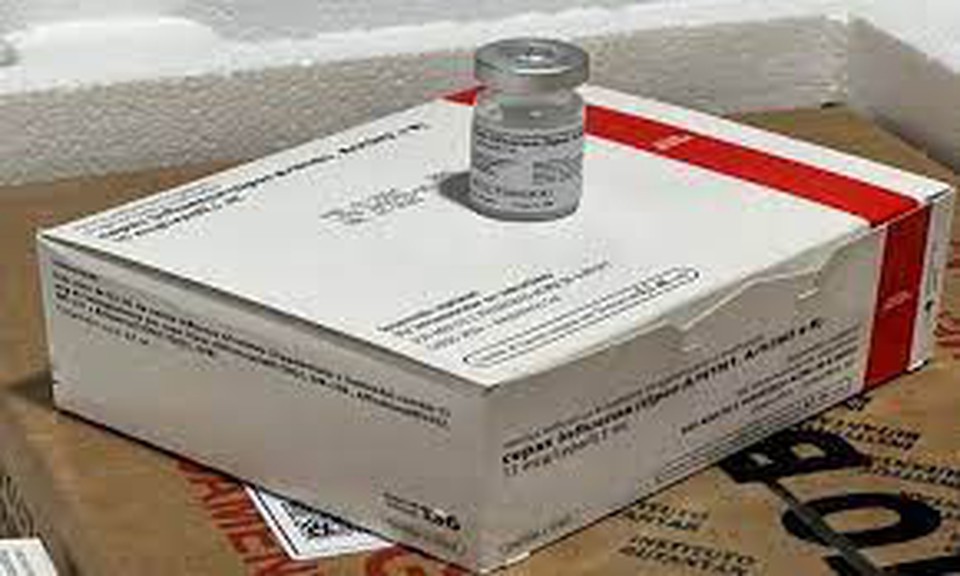 Vacina de gripe foi entregue ao governo de Pernambuco  (Foto: Divulgao )