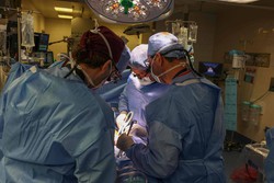 Morre primeiro paciente a receber transplante de rim de porco geneticamente modificado (Foto: Michelle Rose/Hospital Geral de Massachusetts/AFP)