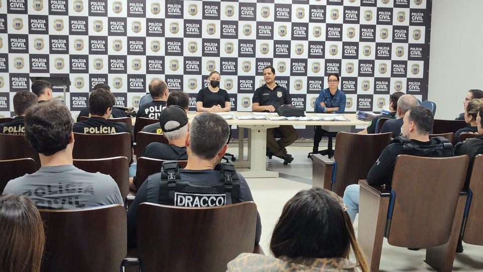 Mais de 200 policiais participam da operao  (Foto: PCPE/Divulgao)