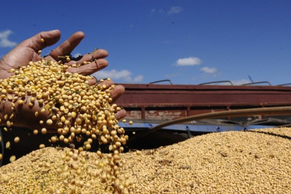 
"Para 2024, espera-se uma recuperao das culturas do RS, mas problemas no resto do pas, associados ao clima", detalhou Alfredo Guedes, gerente de agricultura do IBGE  (foto: Cadu Gomes/CB/D.A Press)