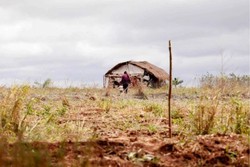 Conflitos no campo se mantm em alta, mas assassinatos diminuem, aponta relatrio (foto: Tnia Rgo/Agncia Brasil)