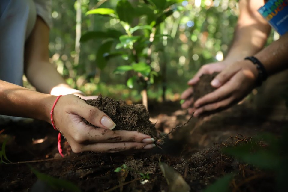 A inscrio para o Selo Empresa Verde pode ser feita por meio do site da Junta Comercial de Pernambuco (Jucepe) at o dia 30 de abril (Foto: Tarciso Augusto/GCom SemasPE)