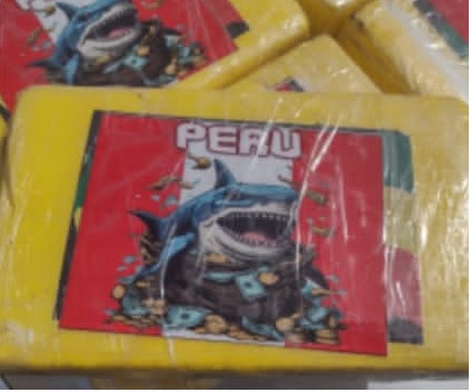 Tablete de cocaína com embalagem de tubarão foi apreendida  (Foto: PM/Divulgação)