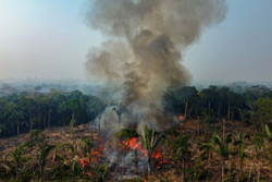 Brasil registra recorde de incndios florestais entre janeiro e abril (Crdito: AFP)