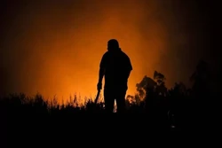Incêndios no Chile seguem sem controle apesar de combate incessante (Foto: JAVIER TORRES / AFP)