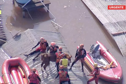 Cavalo Caramelo  resgatado aps ficar ilhado em telhado no RS (Foto: Reproduo/TV Globo
)
