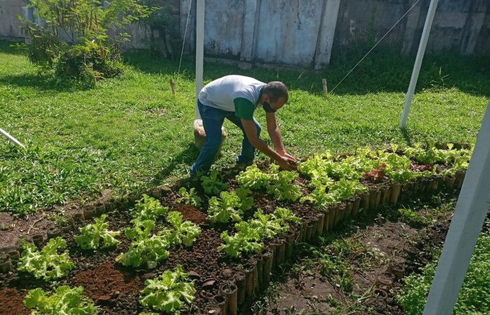 Valor individual que pode ser comercializado pelos agricultores familiares passa de R$ 12 mil para R$ 15 mil
 (Foto: Divulgao/MDS )