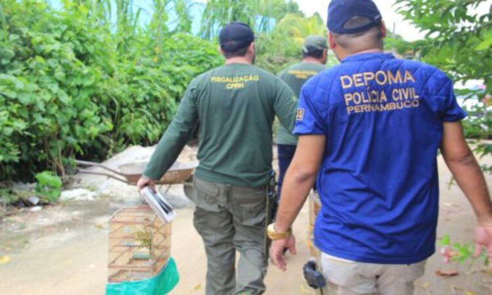 Iniciada em 2021, a Operao Voo Livre tem como objetivo combater cativeiros ilegais de animais silvestres (Foto: Divulgao/CPRH)
