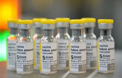 Governo colombiano declara emergncia sanitria por casos de febre amarela (Rovena Rosa/Agncia Brasil)