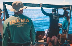 PF e IBAMA realizam operação contra pesca ilegal de lagosta no Litoral Norte de PE (Foto: Divulgação)
