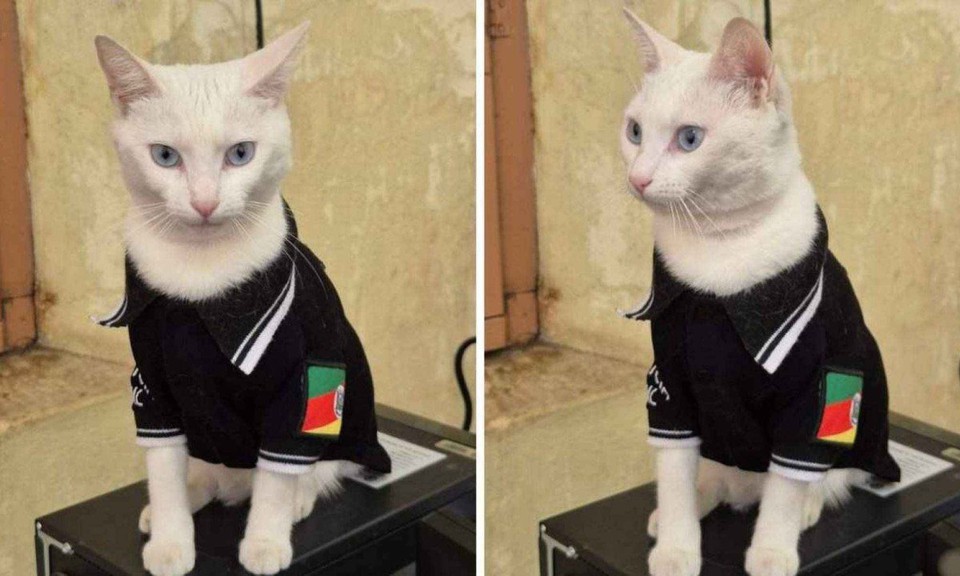 

Thai ganhou uma farda personalizada da Polcia Civil (foto: Reproduo / Polcia Civil do RS)