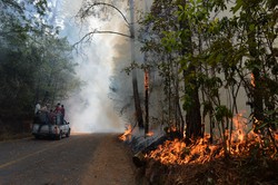 Mxico  atingido por centenas de incndios florestais  (foto: Mario Vazquez / AFP)