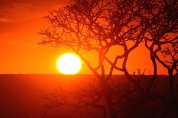 

A onda de calor est relacionada com o fenmeno El Nio e as emisses de gases de efeito estufa