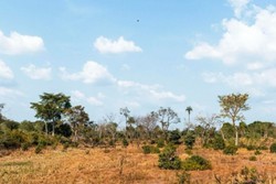 Ministrio Pblico d prazo para que Paulista revogue decretos que flexibilizam licenciamento ambiental a possveis poluidores (Foto: Divulgao/MPPE)
