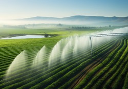 Projeto de ampliar a rea irrigada no pas no  barata. Para cada hectare, o custo mdio do equipamento de irrigao chega a ser de aproximadamente R$ 25 mil 