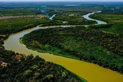 Pantanal brasileiro é um dos 50 melhores destinos de 2023; veja lista (Foto: Mayke Toscano/Secom-MT)
