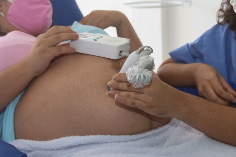 O Ministrio da Sade confirmou, em Pernambuco, um caso de bito fetal causado por transmisso vertical de febre Oropouche, que acontece quando o vrus  passado  da me para o beb, durante a gestao ou no parto (Foto: Matheus Britto/PMJG)