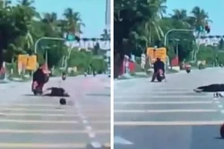 Mulher cai da garupa de moto após ser atingida por coco; Assista (Foto: Reprodução/Twitter @MalaysiaGazette)