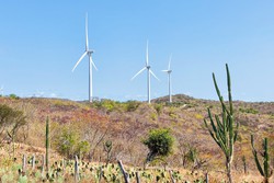 COP-28: Estado  cria grupo  para regulamentar licenciamento socioambiental para implantao de energias renovveis (Foto: Divulgao )