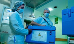 Ministério da Saúde lança campanha de doação de órgãos e tecidos (Foto: Divulgação/Ministério da Saude)
