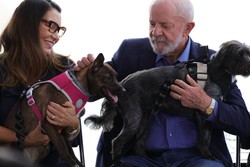 RG para ces e gatos: governo Lula lana cadastro de animais domsticos (Foto: Fabio Rodrigues-Pozzebom/ Agncia Brasil)