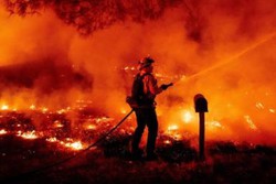 Inteligência artificial ajuda a prever incêndios florestais (Foto: Josh Edelson/AFP)