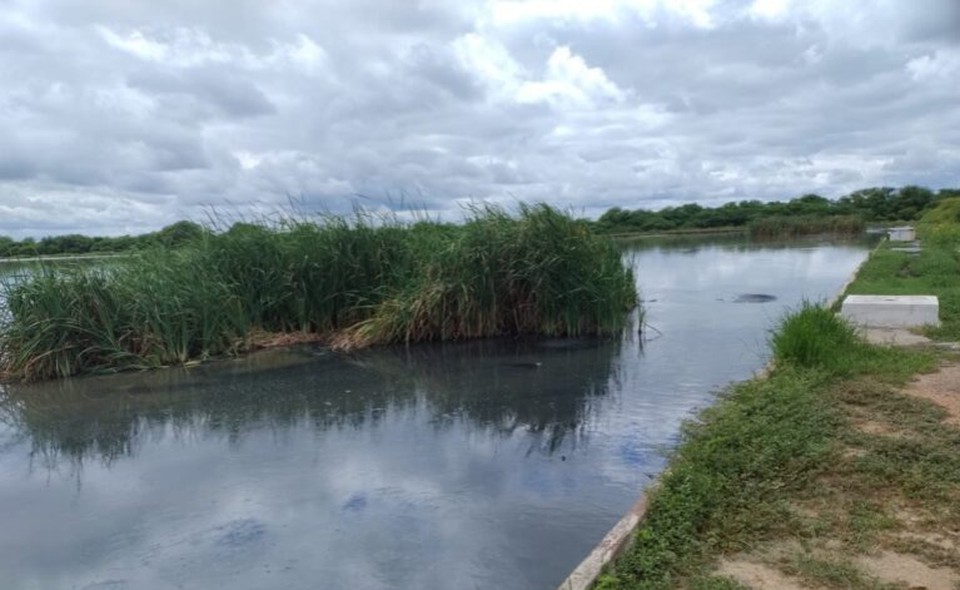 De acordo com a agência, foi constatado transbordamento de esgoto bruto das lagoas (Foto: Reprodução)