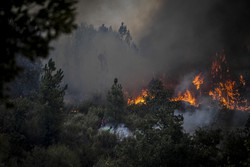 Odor dos incêndios de Portugal chega a Madri (Foto: PATRICIA DE MELO MOREIRA / AFP
)