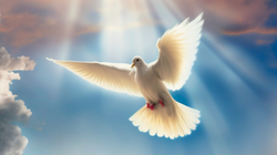 O Dia do Esprito Santo  celebrado neste 31 de maio