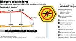 Dengue: Brasil registra média de 17 mil novos casos por dia em 2024 (Crédito: Valdo Virgo)