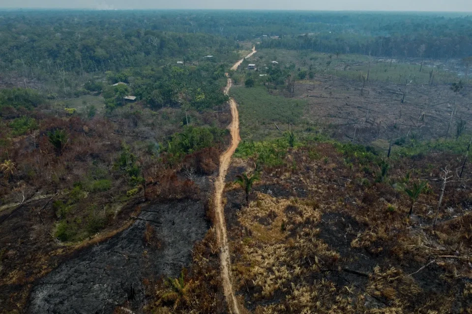 Amazônia brasileira registrou 13.943 incêndios florestais em novembro (Foto: MICHAEL DANTAS / AFP
)