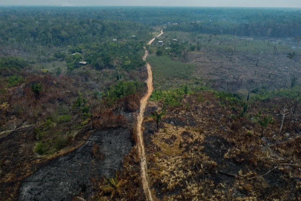 Amaznia brasileira registrou 13.943 incndios florestais em novembro (Foto: MICHAEL DANTAS / AFP
)