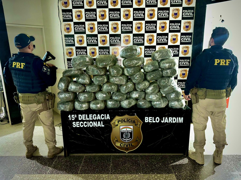 Maconha foi apreendida com motorista no Agreste  (Foto: PRF )