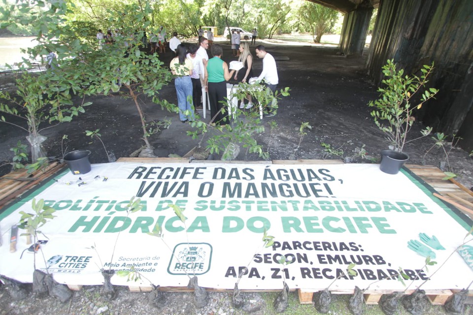 Projeto Viva o Mangue foi lanado no Recife  (Foto: Priscilla Melo/DP)