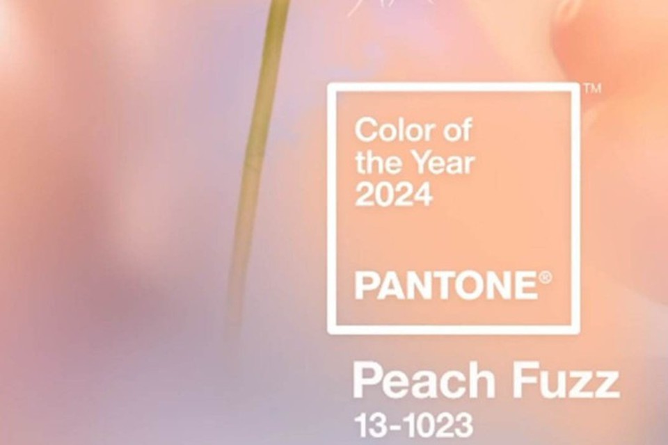 Peach Fuzz será a cor de 2023  (foto: Reprodução/ Instagram/ pantone)