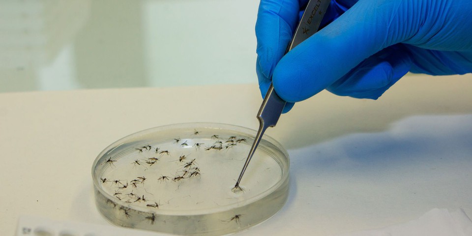 Os testes vão permitir um monitoramento mais intenso e vão detectar de forma precoce a entrada do vírus no estado (Foto: Flávio Carvalho/WMP Brasil/Fiocruz)