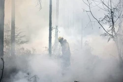 Europa tem verão com recorde de superfície queimada por incêndios (Foto: AFP)