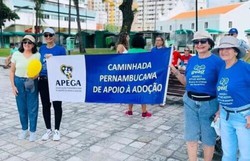 Famlias pernambucanas participam da 12 Caminhada de Apoio  Adoo (Foto: Reproduo/Instagram)