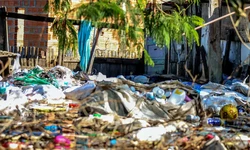 Brasil tem 1.942 cidades com risco de desastre ambiental (Rafa Neddermeyer/Agncia Brasil)