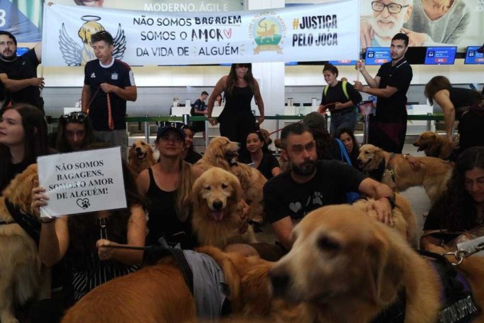 Protesto contra morte dp co Joca, no aeroporto de Braslia (Foto: Marcelo Ferreira/CB/D.A Press
)