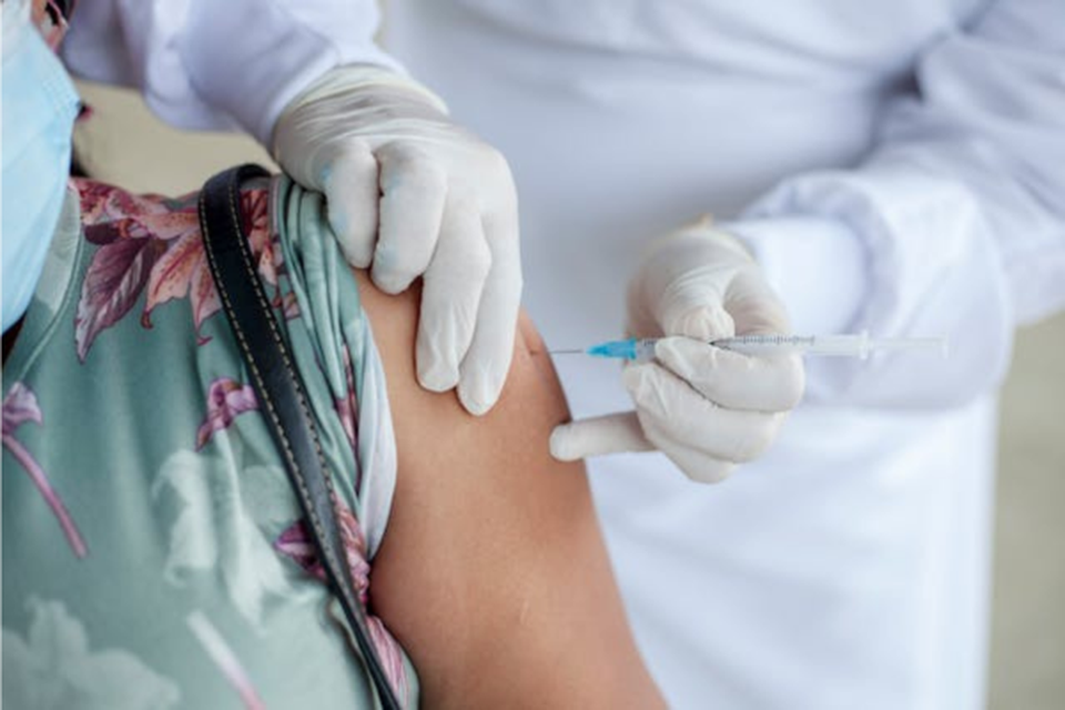 Mos femininas segurando frasco de vacina dengue (Crdito: Pexels)